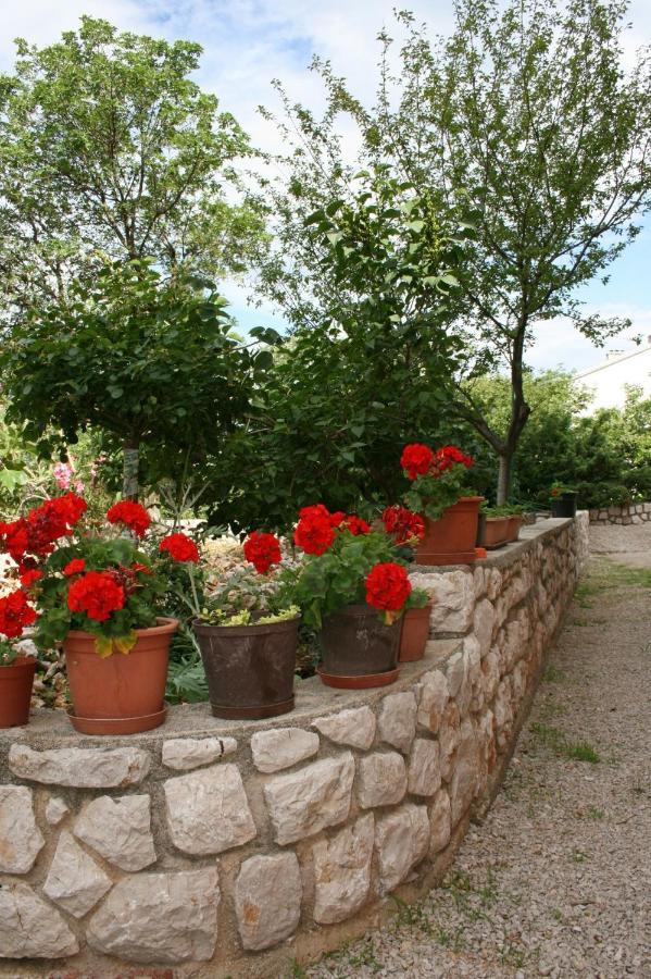 Apartments With A Parking Space Novi Vinodolski - 5514 Εξωτερικό φωτογραφία